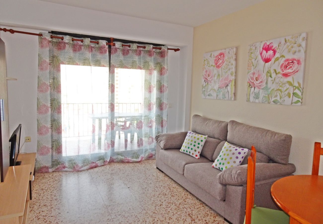 Apartamento en Gandia - CANTABRIA 9º - 94