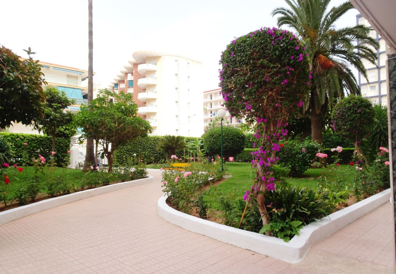 Apartamento en Gandia - CANTABRIA 9º - 94