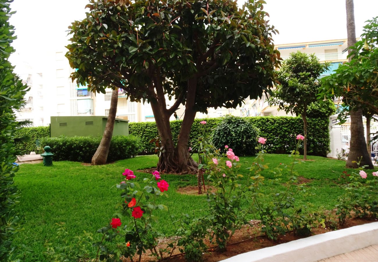 Apartamento en Gandia - CANTABRIA 9º - 94