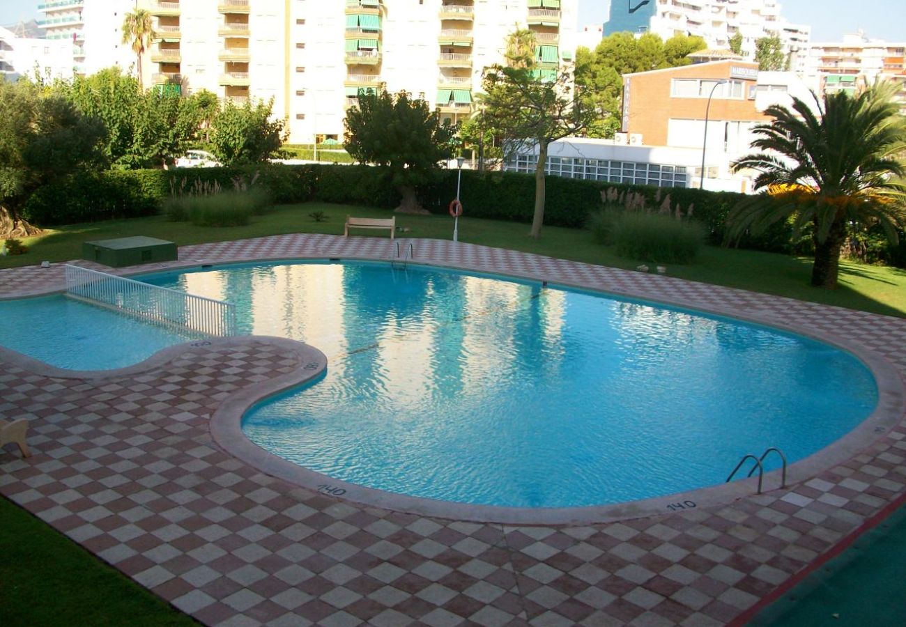Apartamento en Gandia - DANIO D - 3º