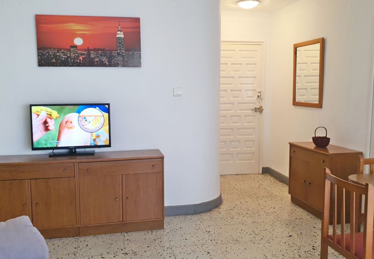 Apartamento en Gandia - DELFIN 1º - 6ª