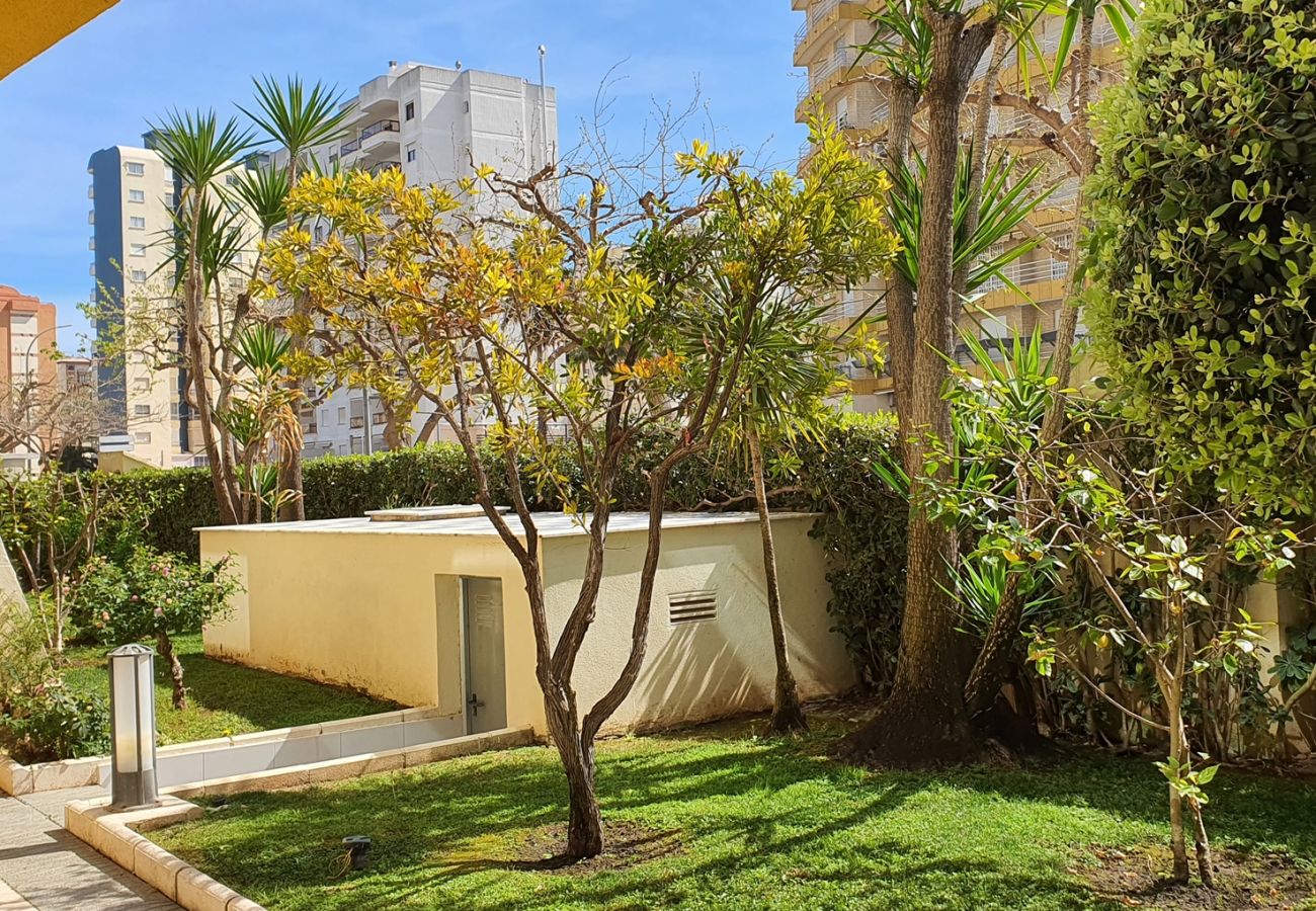 Apartamento en Gandia - DEVESA PARK 10 - 9º - 18ª