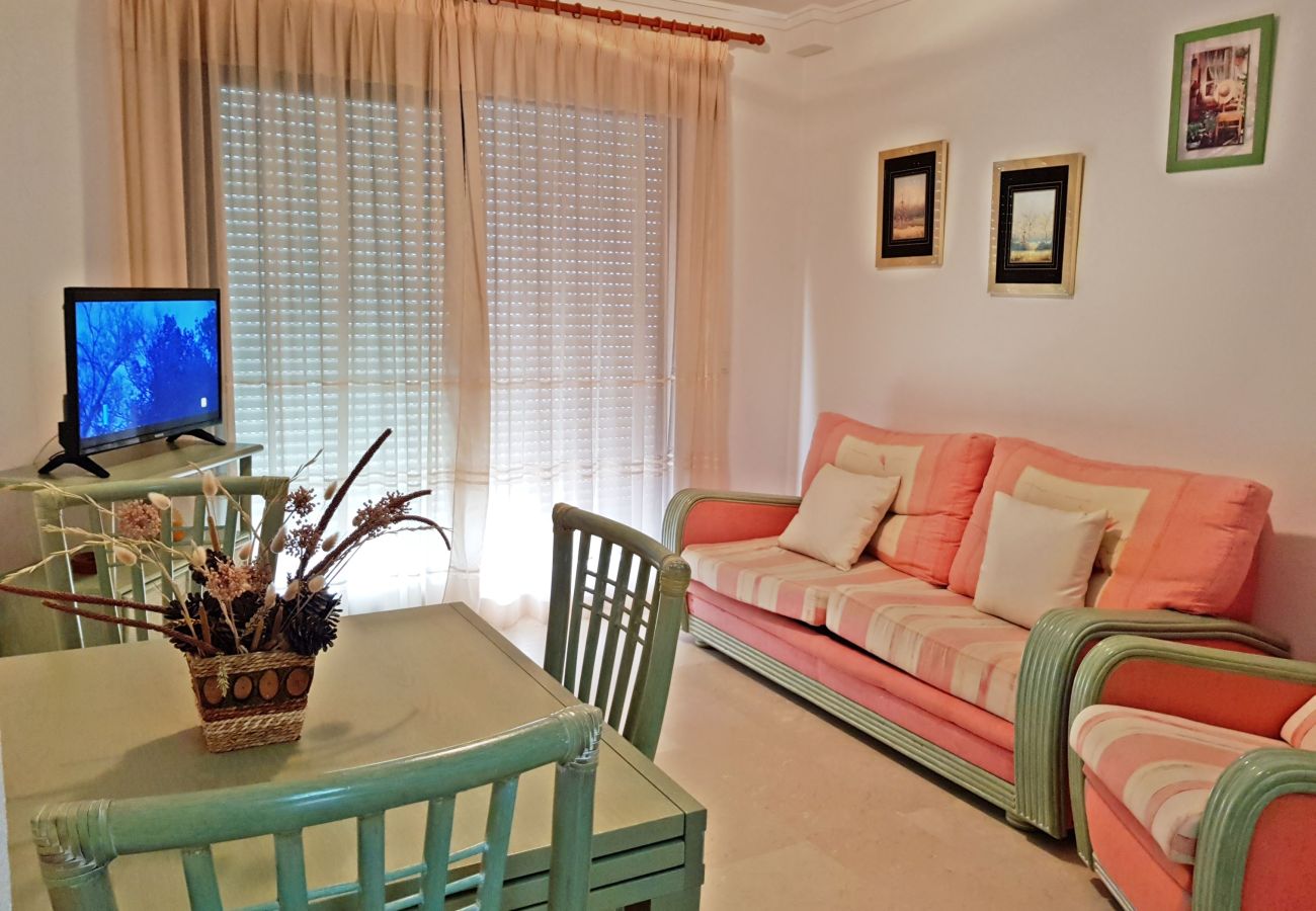 Apartamento en Gandia - EL EDEN BL II - 2ª - 8º - C