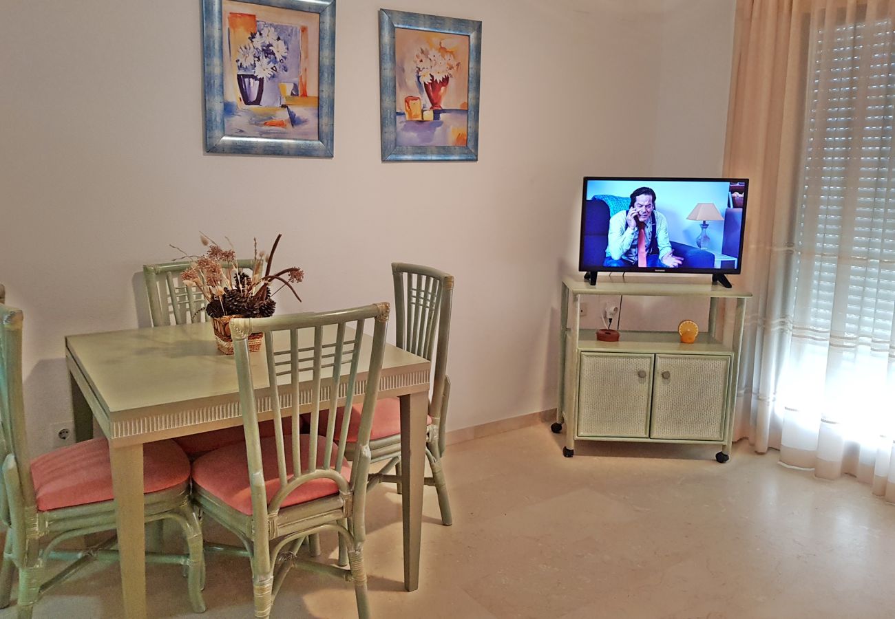 Apartamento en Gandia - EL EDEN BL II - 2ª - 8º - C
