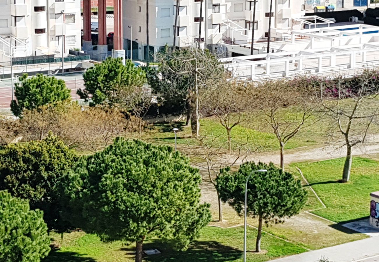 Apartamento en Gandia - EL EDEN BL II - 2ª - 8º - C