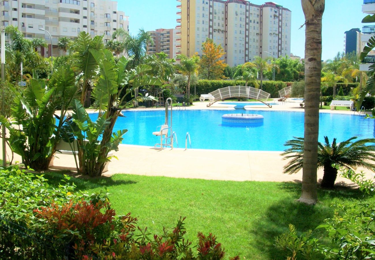 Apartamento en Gandia - EL EDEN BL II - 2ª - 8º - C