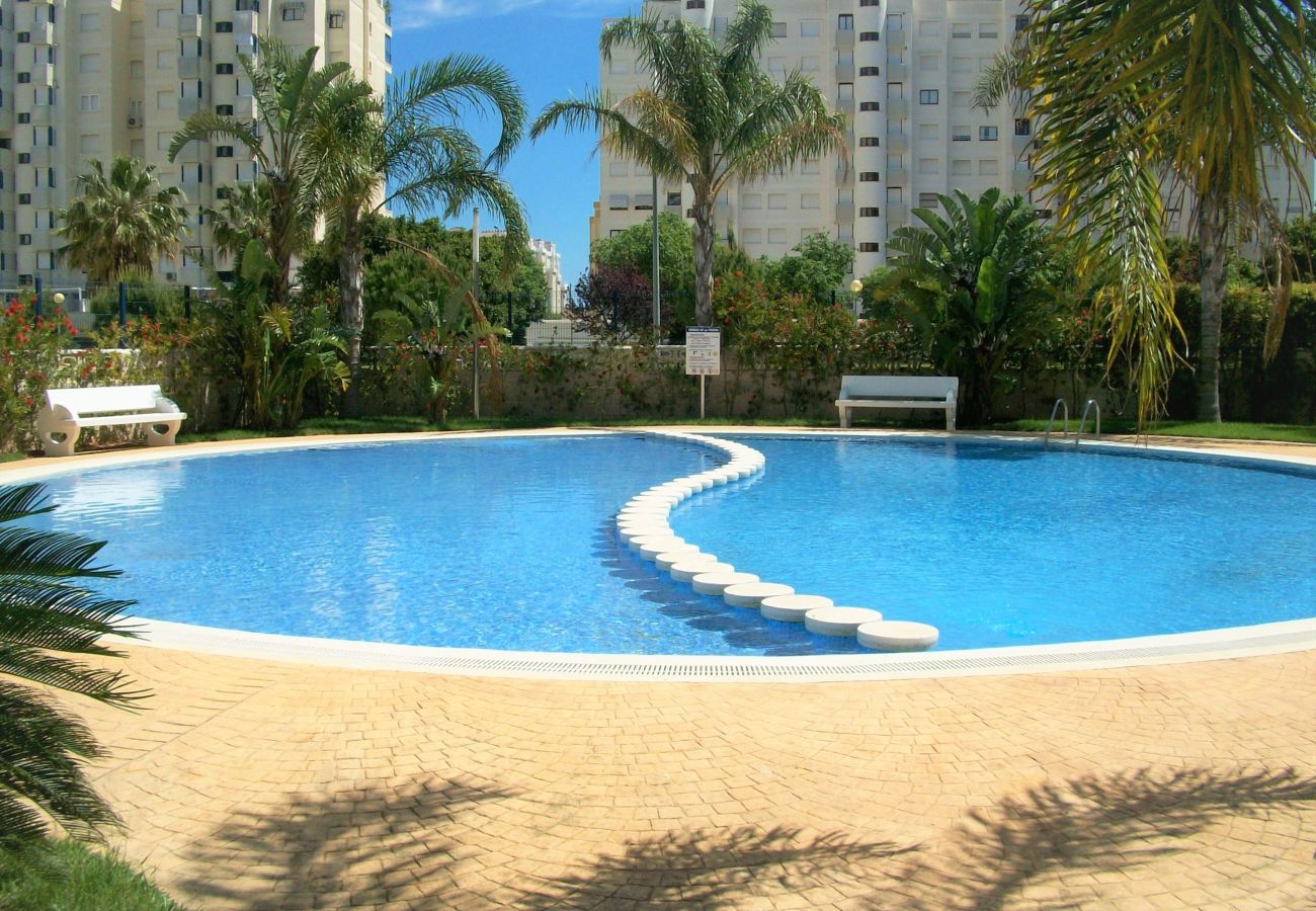Apartamento en Gandia - EL EDEN BL II - 2ª - 8º - C