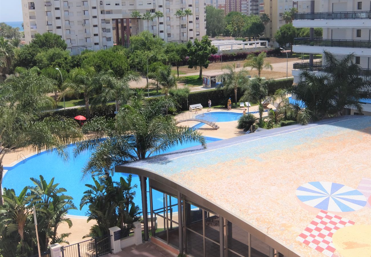 Apartamento en Gandia - EL EDEN BL II - 2ª - 8º - C