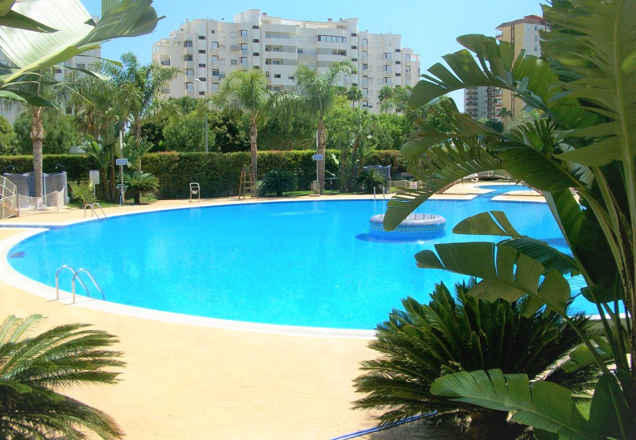 Apartamento en Gandia - EL EDEN BL II - 2ª - 8º - C