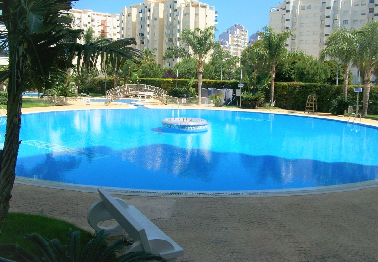 Apartamento en Gandia - EL EDEN BL II - 2ª - 8º - C