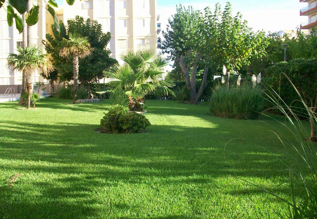 Apartamento en Gandia - DON CHIMO 5º - 30