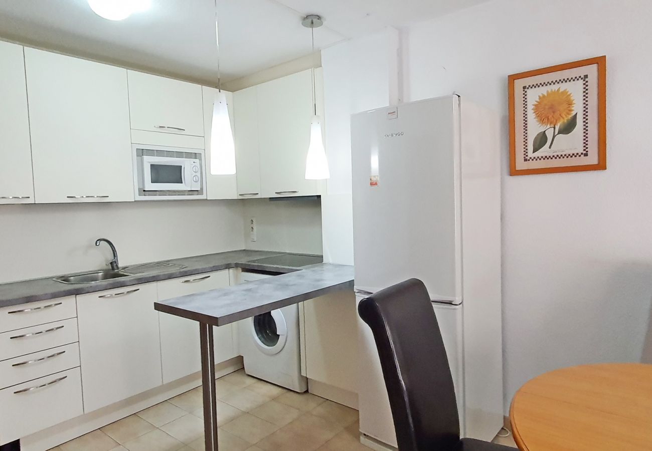 Apartamento en Gandia - LOS IRIS B - 1º 7