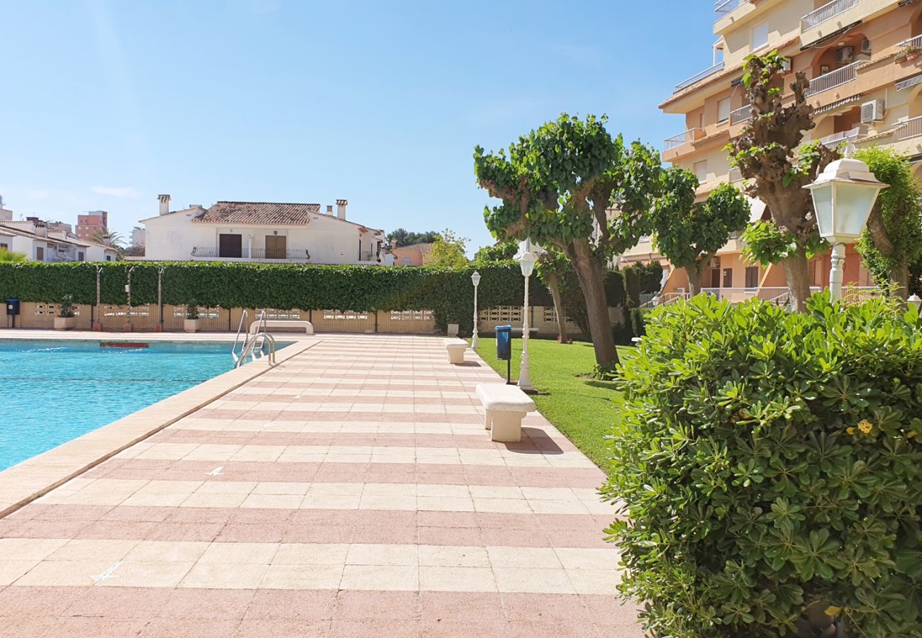 Apartamento en Gandia - LOS IRIS B - 1º 7