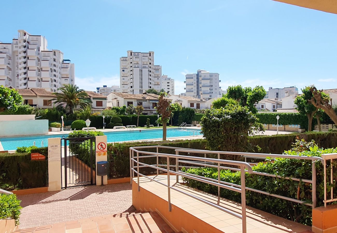 Apartamento en Gandia - LOS IRIS B - 1º 7