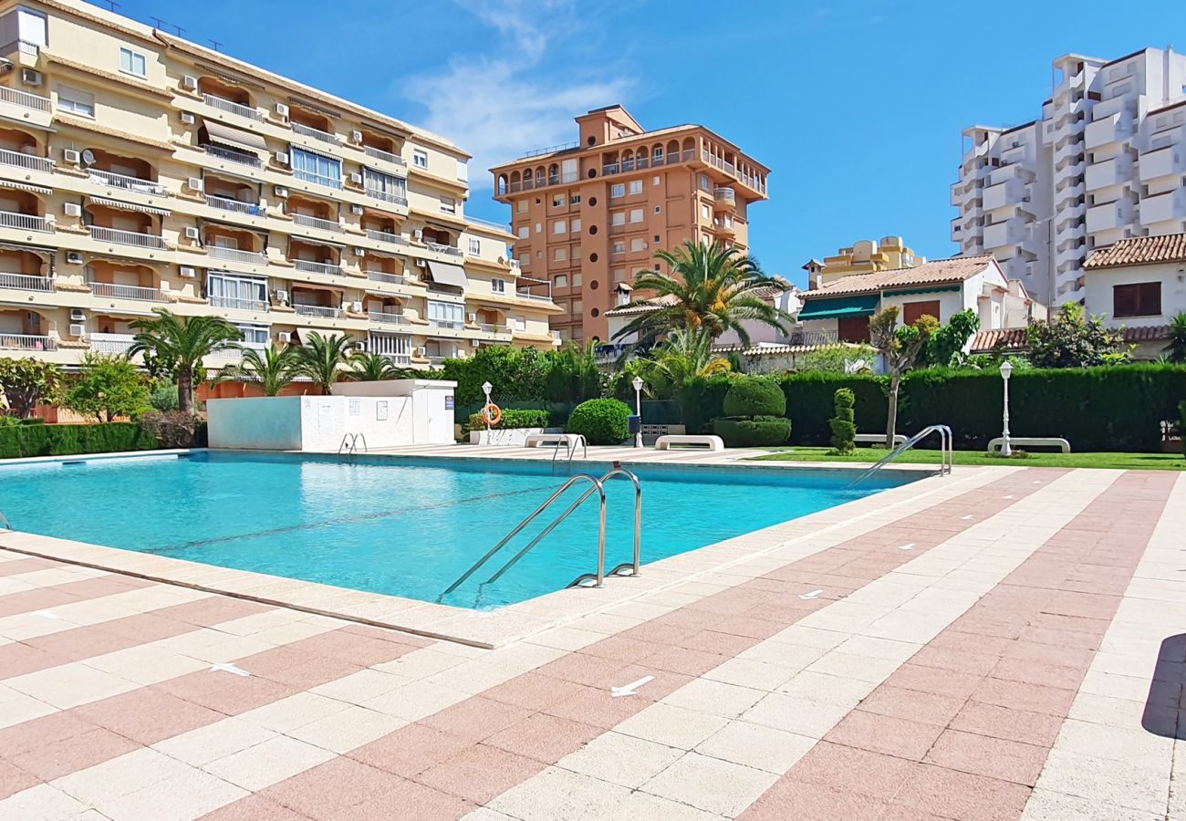 Apartamento en Gandia - LOS IRIS B - 1º 7