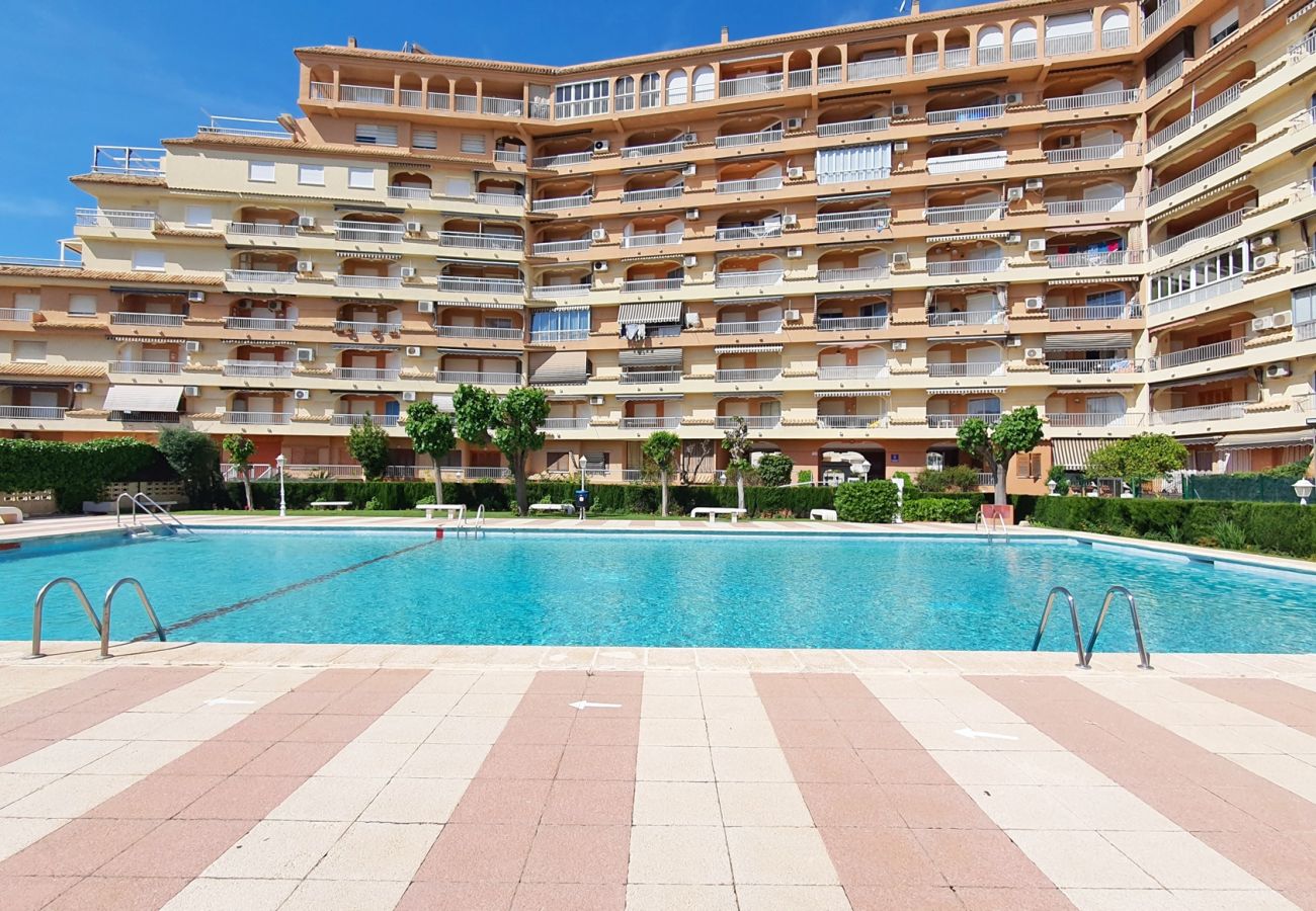 Apartamento en Gandia - LOS IRIS B - 1º - 8ª