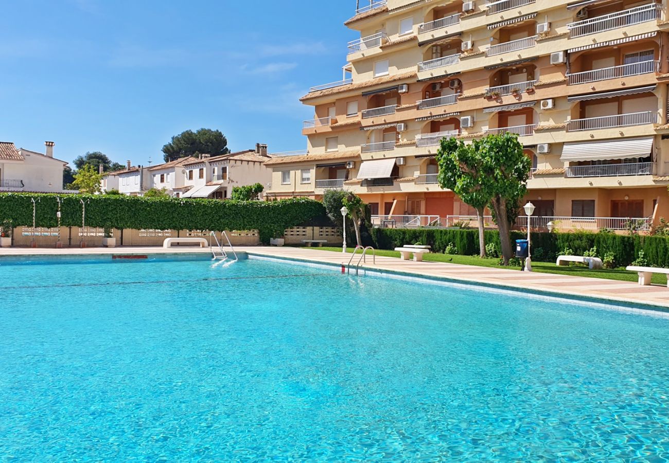 Apartamento en Gandia - LOS IRIS B - 1º - 8ª