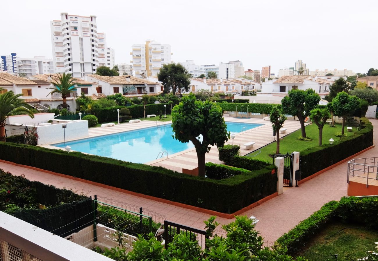 Apartamento en Gandia - LOS IRIS B - 1º - 8ª