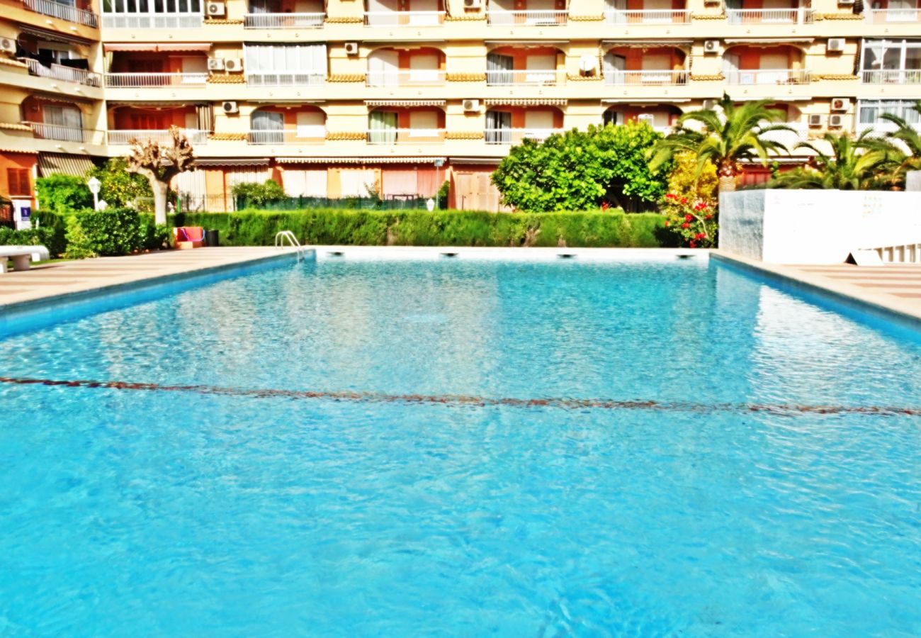 Apartamento en Gandia - LOS IRIS B - 1º - 8ª