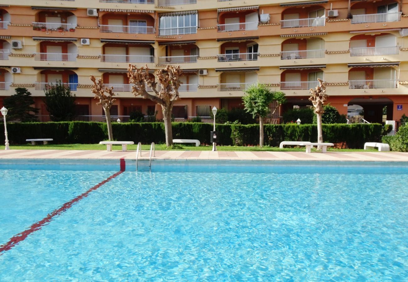 Apartamento en Gandia - LOS IRIS B - 1º - 8ª