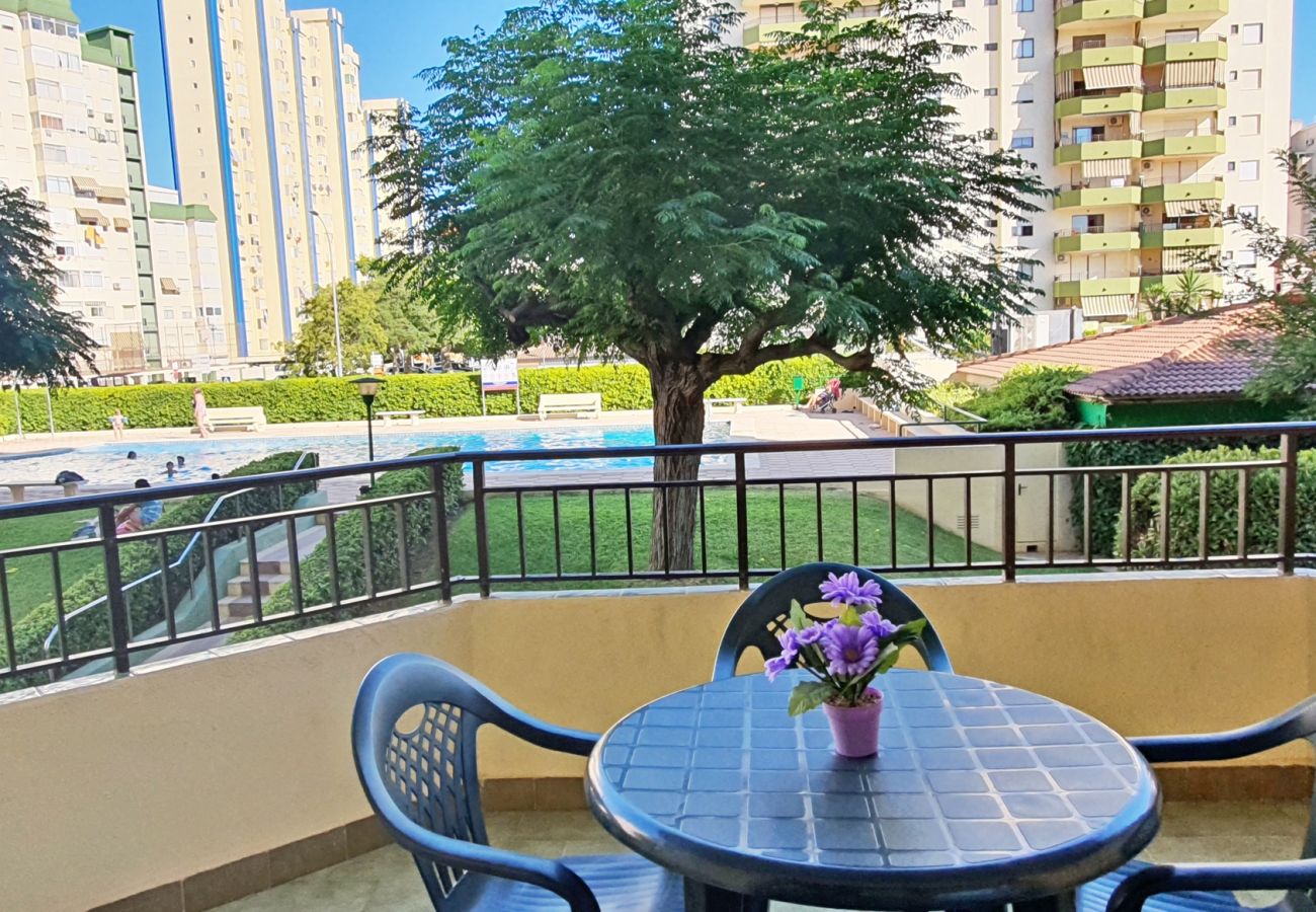 Apartamento en Gandia - GARDENIAS I  3ª - 1º - F