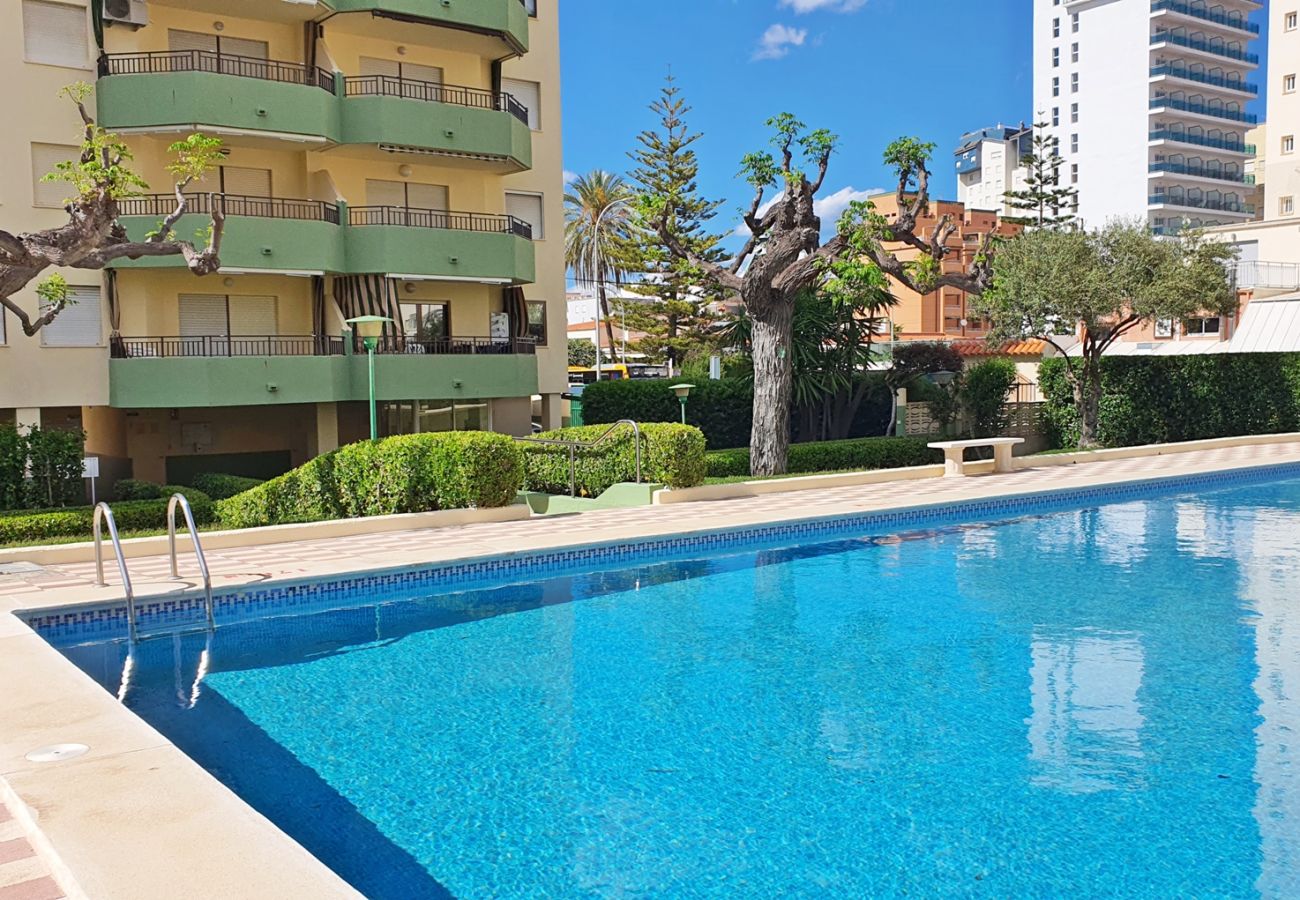 Apartamento en Gandia - GARDENIAS I  3ª - 1º - F