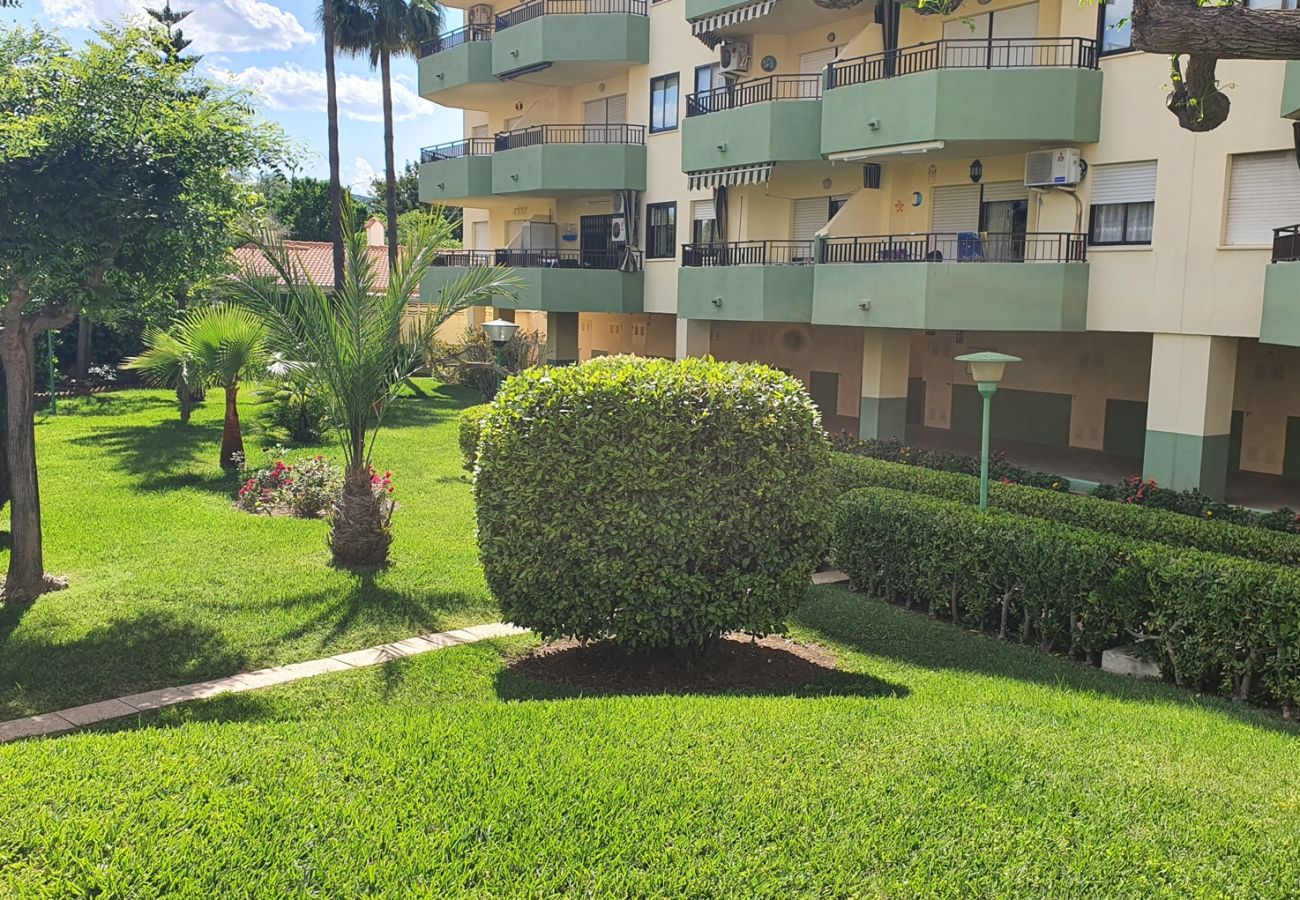Apartamento en Gandia - GARDENIAS I  3ª - 1º - F