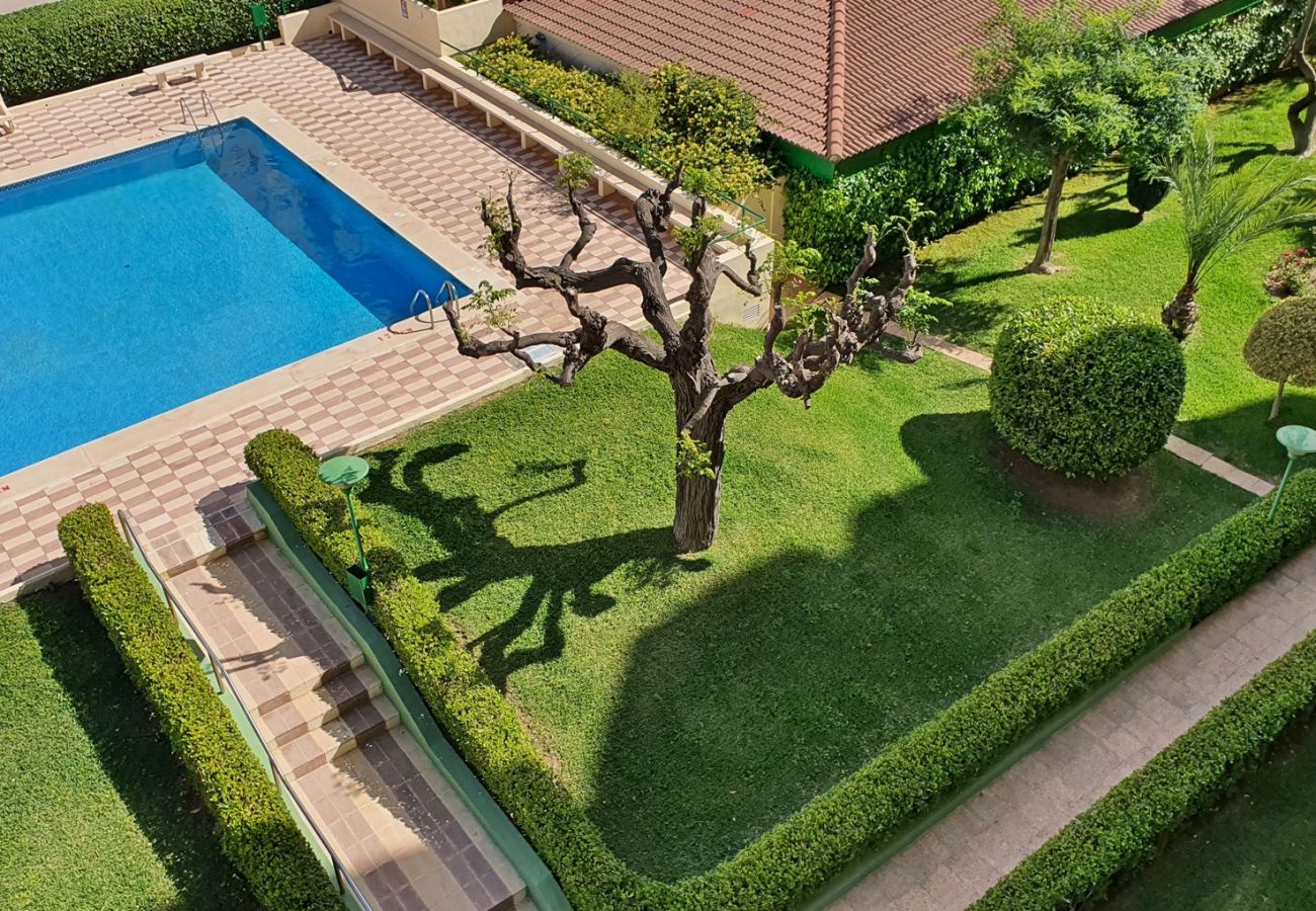 Apartamento en Gandia - GARDENIAS I  3ª - 1º - F