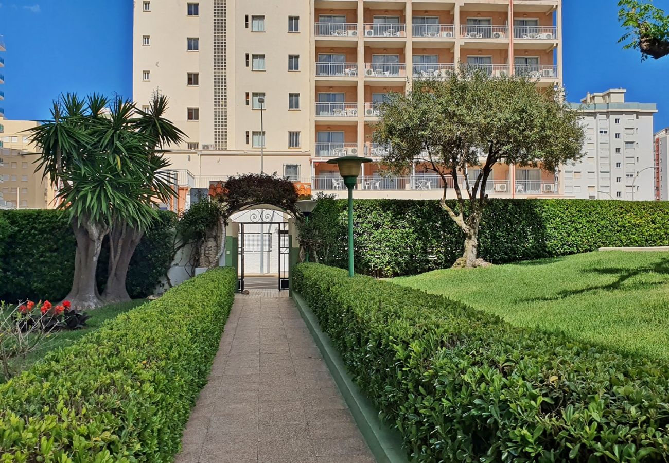 Apartamento en Gandia - GARDENIAS I  3ª - 9º - E