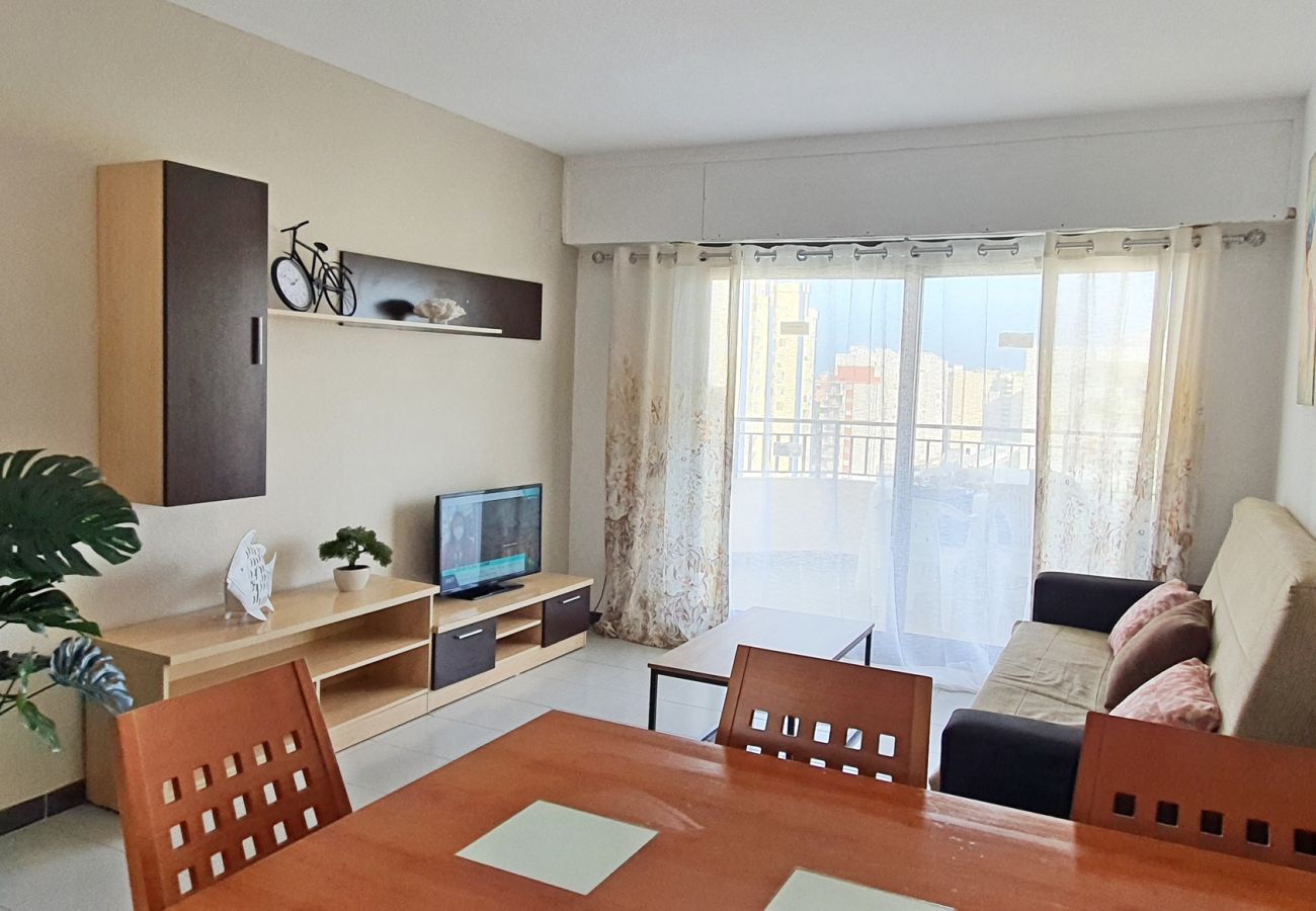 Apartamento en Gandia - GARDENIAS I  3ª - 9º - E