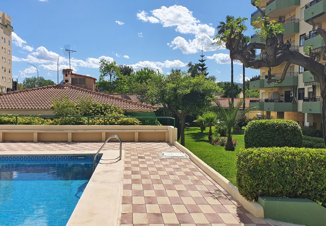 Apartamento en Gandia - GARDENIAS I - 4ª - 4º - G