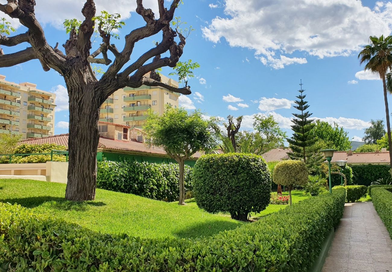 Apartamento en Gandia - GARDENIAS I - 4ª - 4º - G