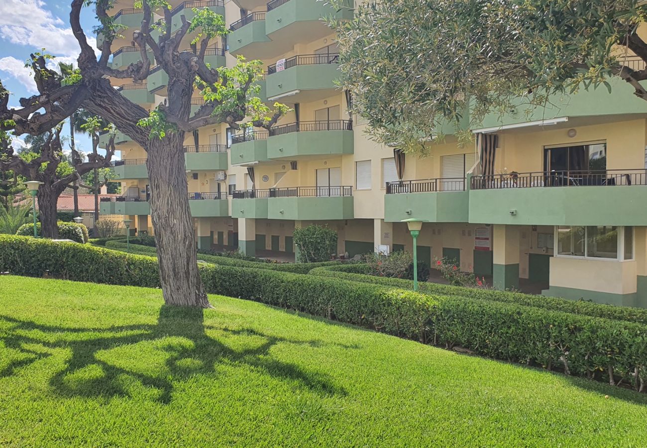 Apartamento en Gandia - GARDENIAS I - 4ª - 4º - G