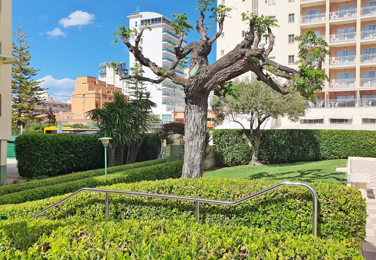 Apartamento en Gandia - GARDENIAS I - 4ª - 4º - G