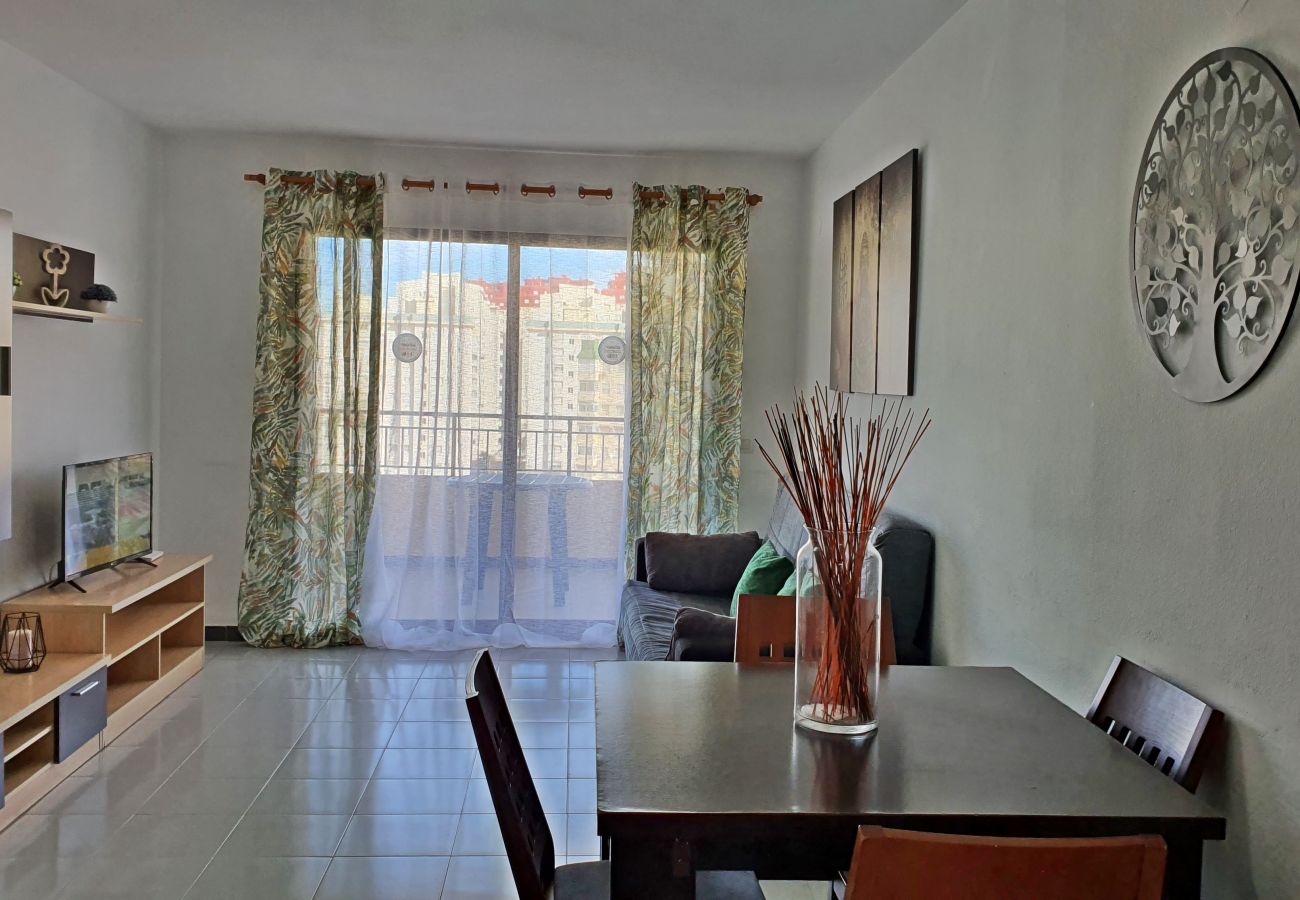 Apartamento en Gandia - GARDENIAS II - 2ª - 7º - C
