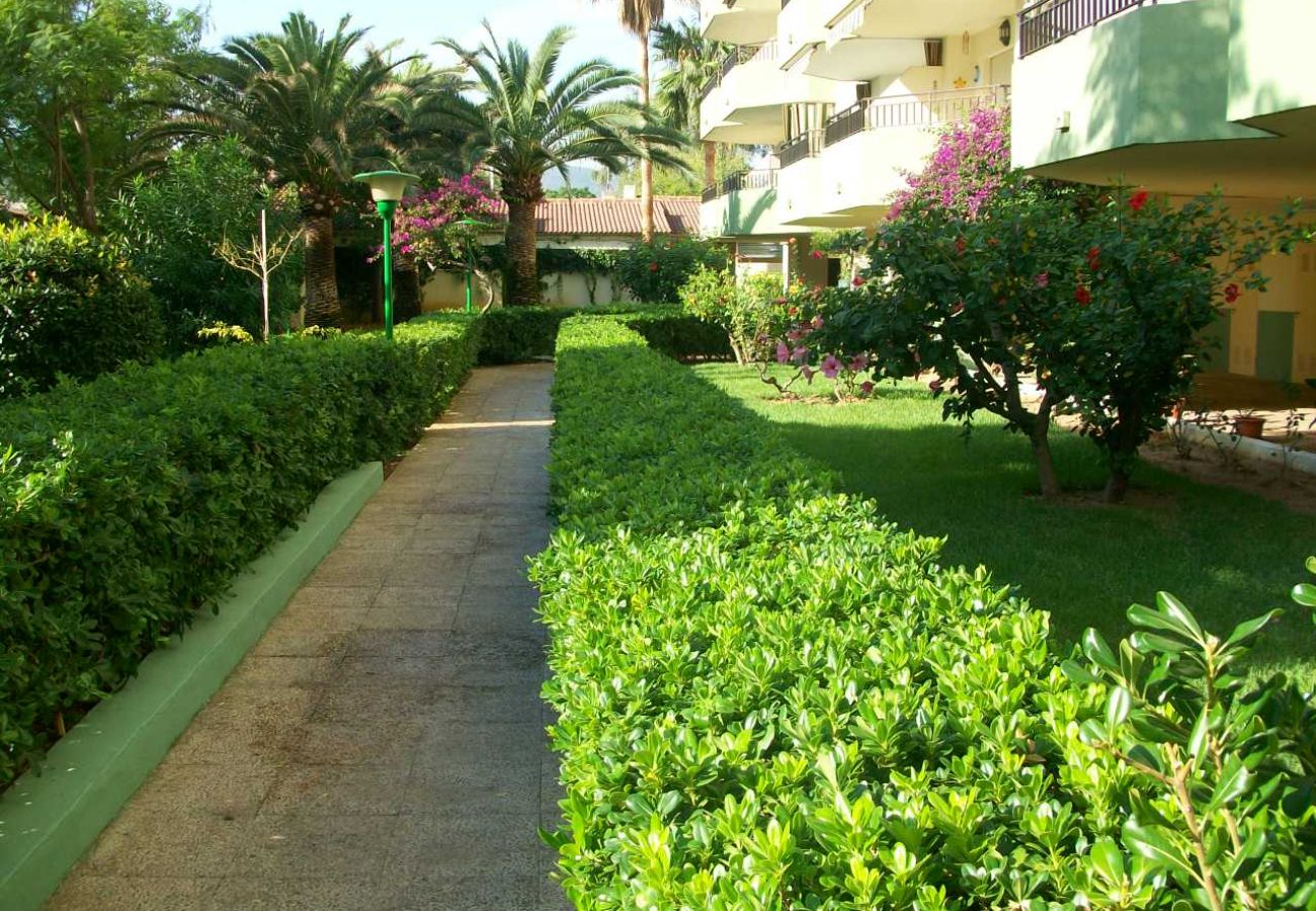 Apartamento en Gandia - GARDENIAS III - 9º  - A