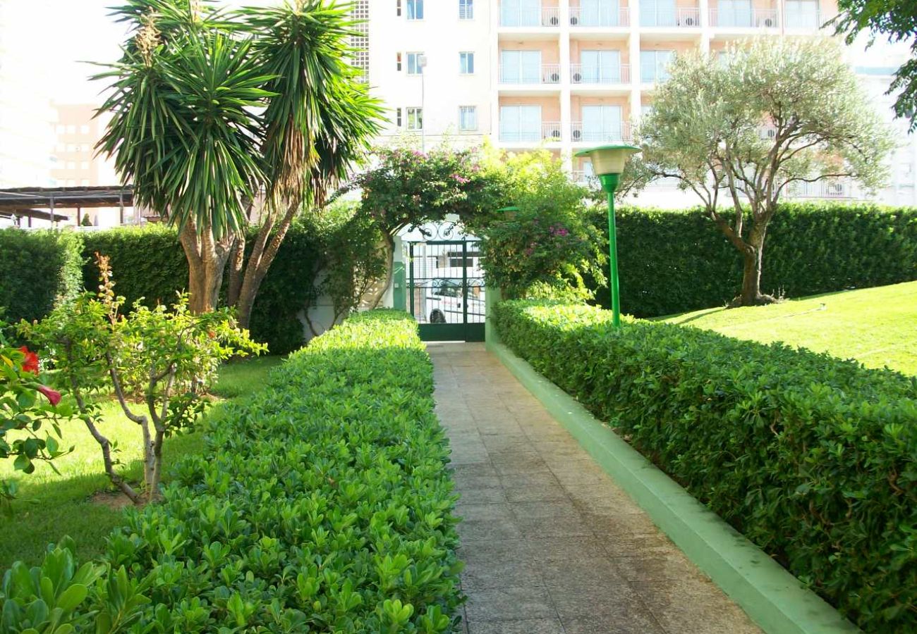 Apartamento en Gandia - GARDENIAS III - 9º  - A