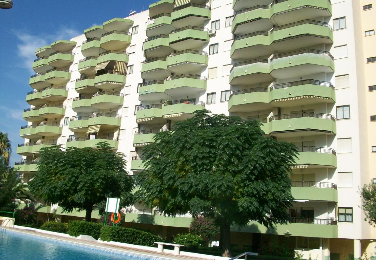 Apartamento en Gandia - GARDENIAS III - 9º  - A