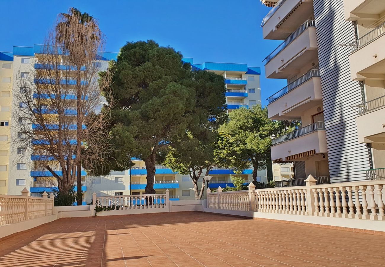 Apartamento en Gandia - GANDIAZAR I - C - 5º - 10ª