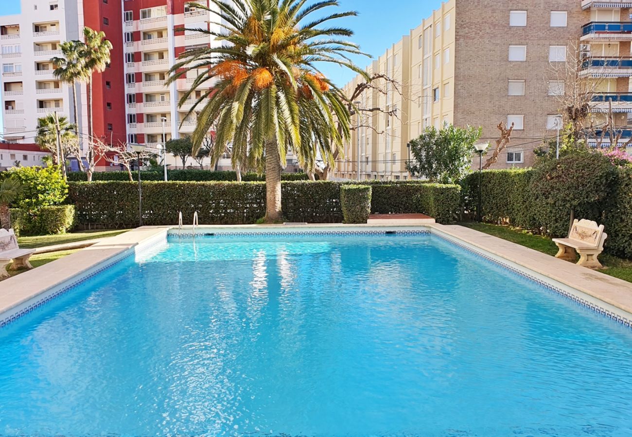 Apartamento en Gandia - GANDIAZAR I - C - 5º - 10ª