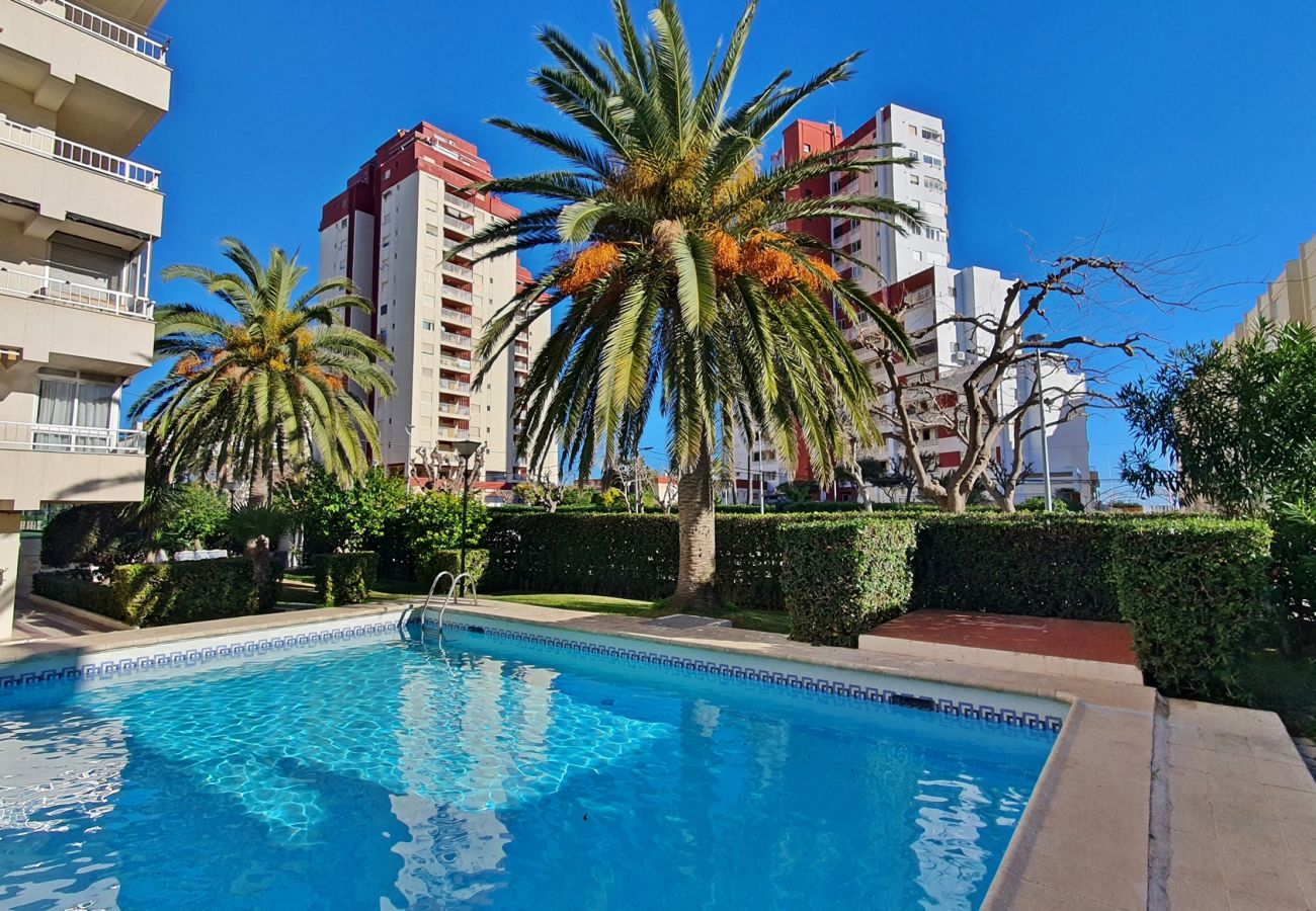 Apartamento en Gandia - GANDIAZAR I - C - 5º - 10ª