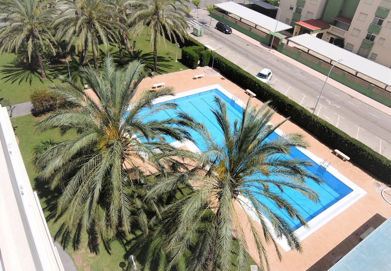 Apartamento en Gandia - LA FLORIDA 3ª - 8º - 15ª