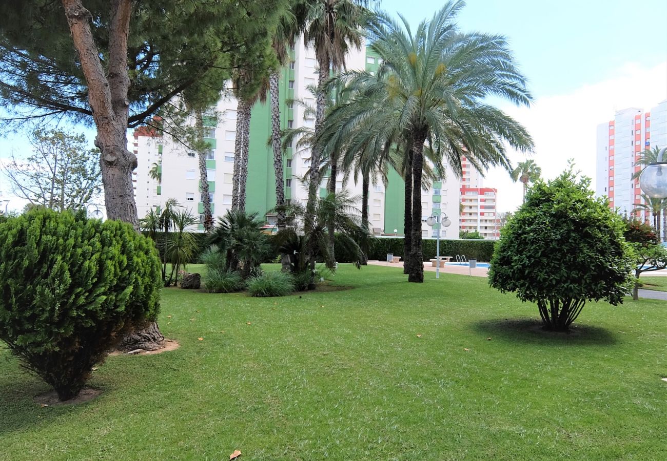Apartamento en Gandia - LA FLORIDA 3ª - 8º - 15ª