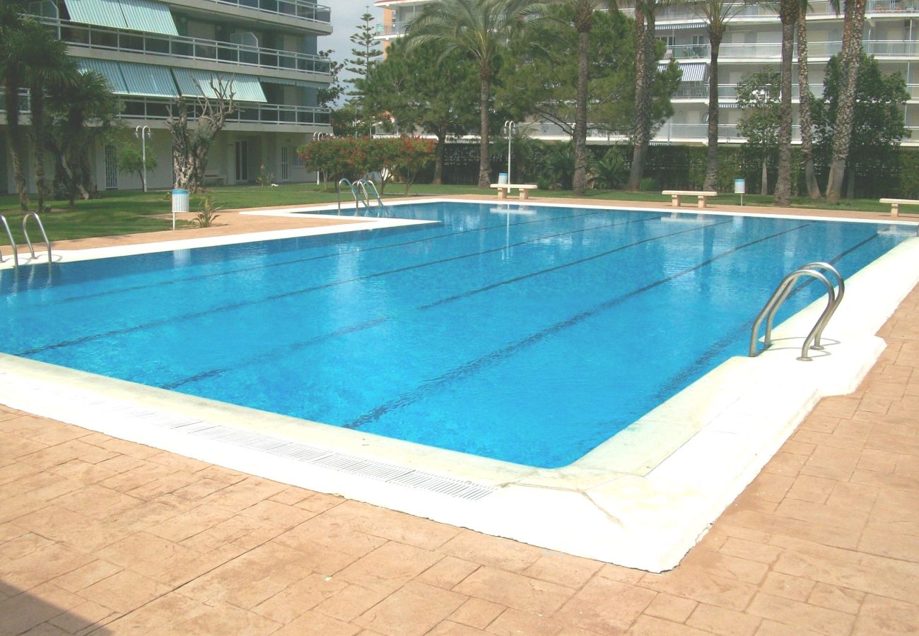 Apartamento en Gandia - LA FLORIDA 3ª - 8º - 15ª