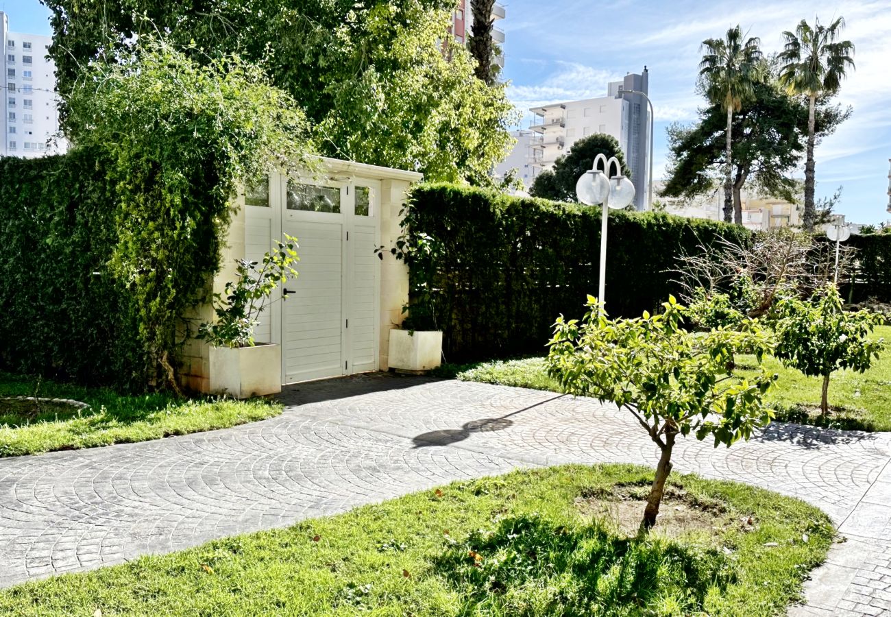 Apartamento en Gandia - LA FLORIDA 3ª - 8º - 15ª