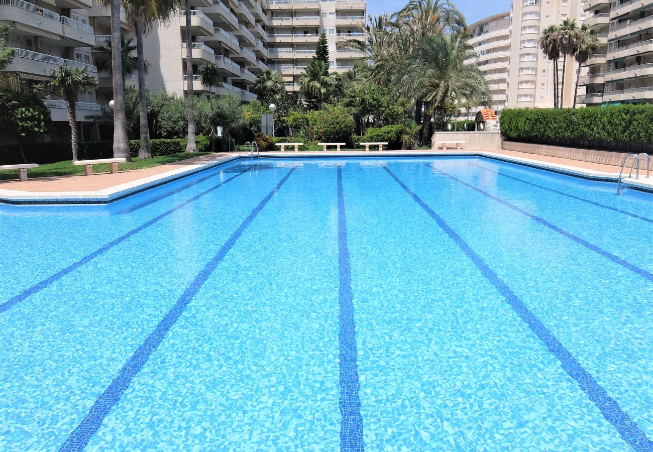 Apartamento en Gandia - LA FLORIDA 2ª - 1º - 1ª