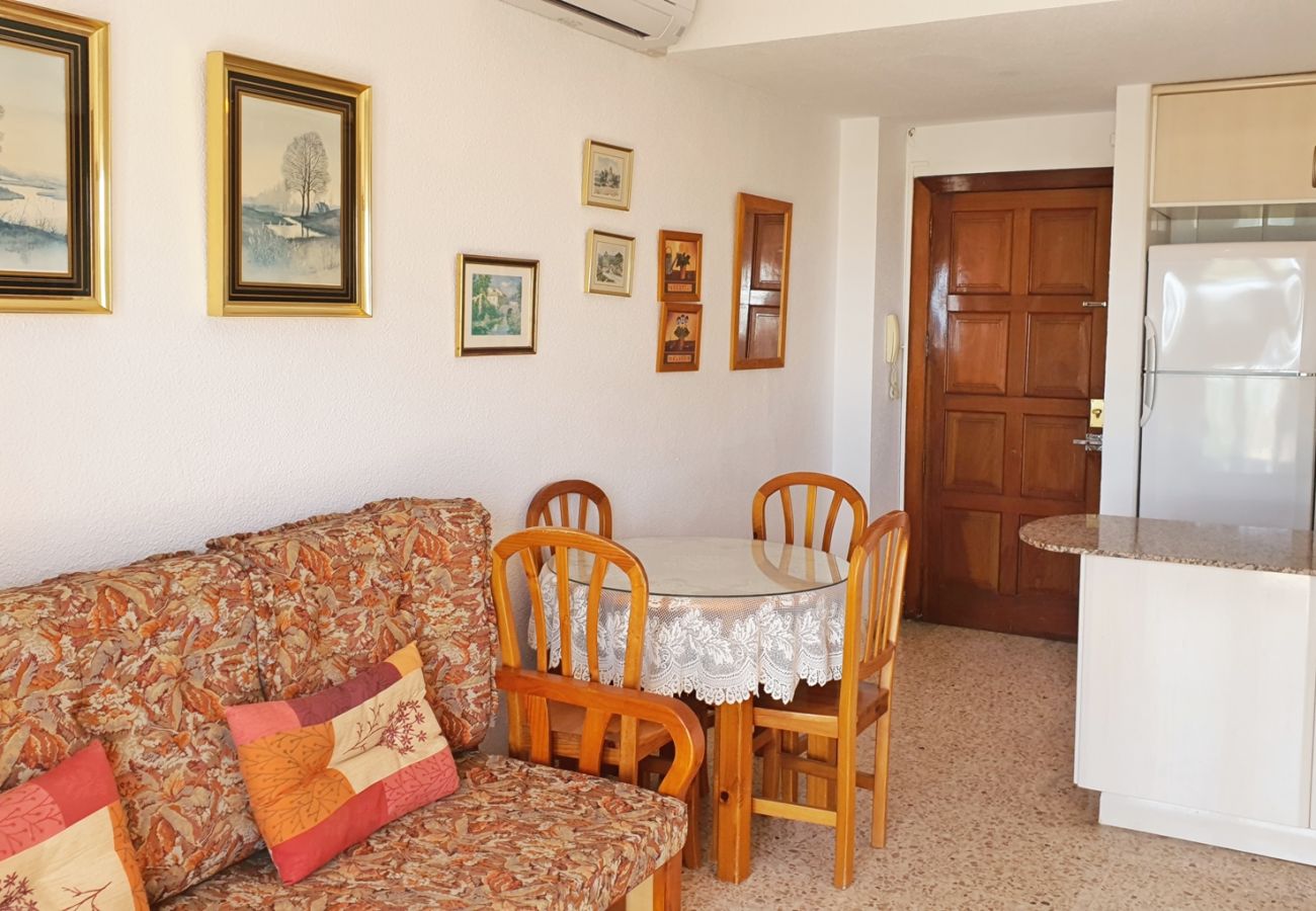 Apartamento en Gandia - INFANTE E2 - 1º
