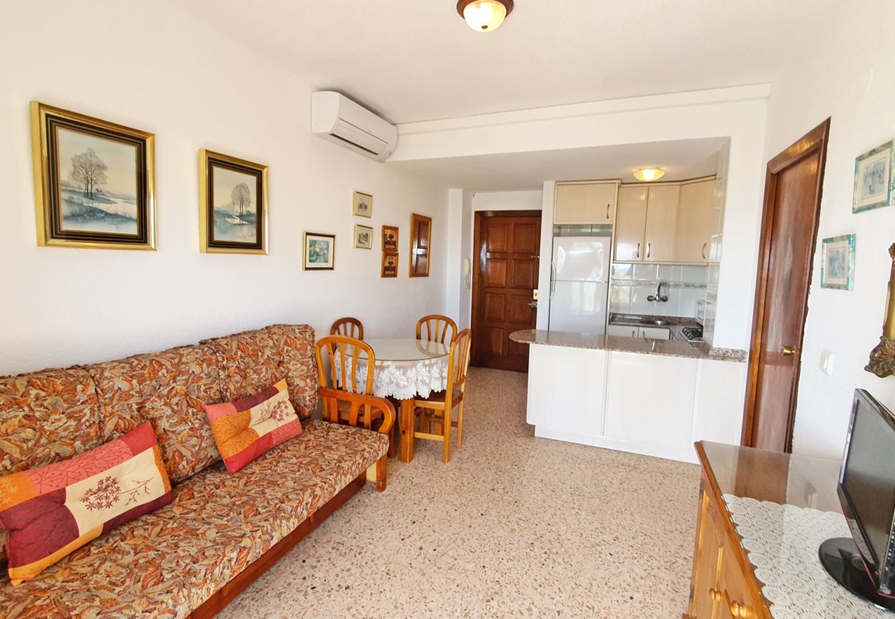 Apartamento en Gandia - INFANTE E2 - 1º