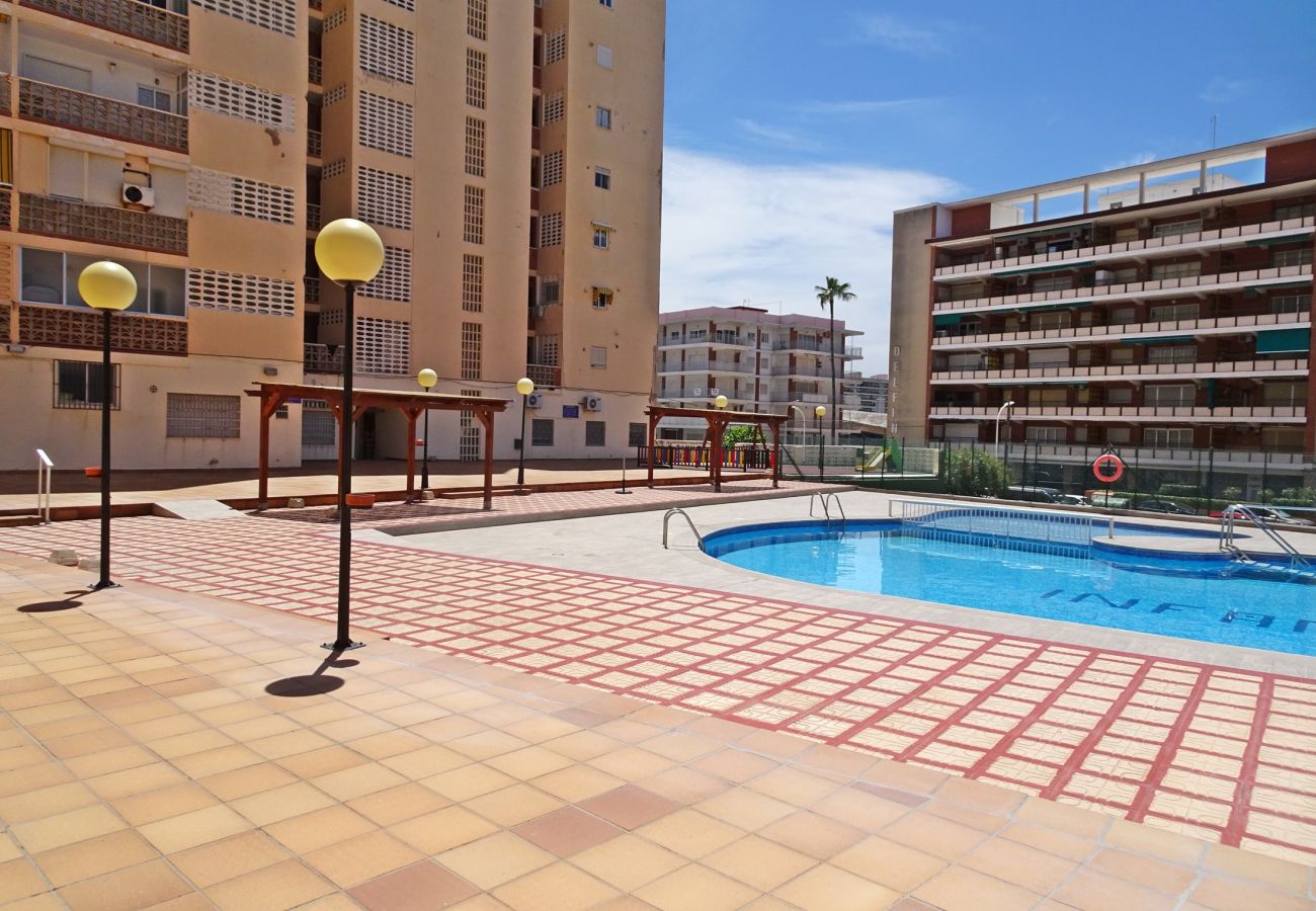 Apartamento en Gandia - INFANTE E3 - 3º