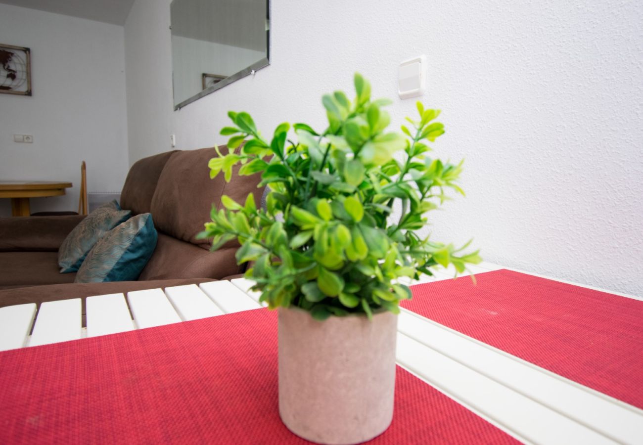 Apartamento en Benidorm - TOMAS ORTUÑO 48 2C